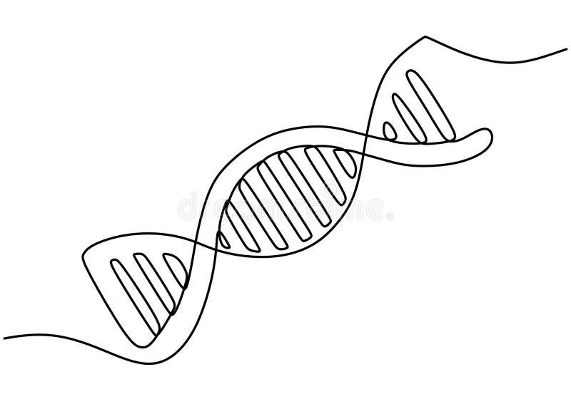 En linjeritning av en DNA-symbol som ger en minimalistisk representation av genetik och biologi vektor illustrationer