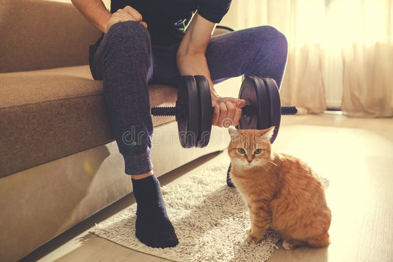 En man g?r in f?r sportar hemma med hantlar med en katt arkivbilder En man g?r in f?r sportar hemma med hantlar med en katt arkivbilder