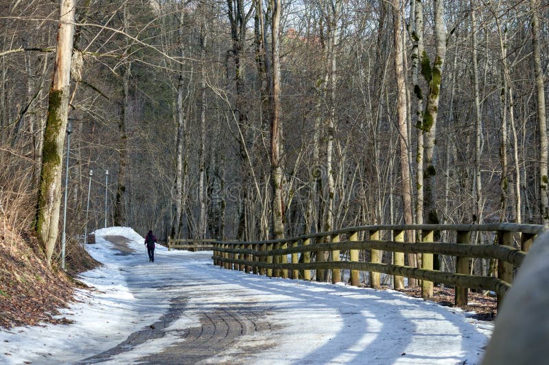 En man i mörka kläder som går längs en snöbana i skogen längs en trästaket arkivbilder