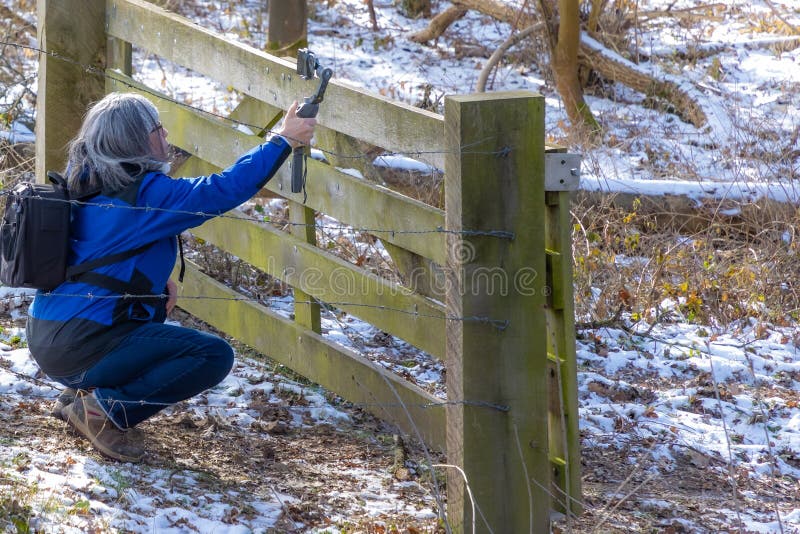 En mogen kvinna filmar med sin mobiltelefon, en gimbal stam med huvudstabilisator bakom ett trästängsel arkivfoton