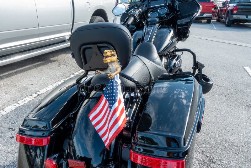 En motorcykel som visar patriotism, genom att flyga en flagga arkivbild En motorcykel som visar patriotism, genom att flyga en flagga arkivbild
