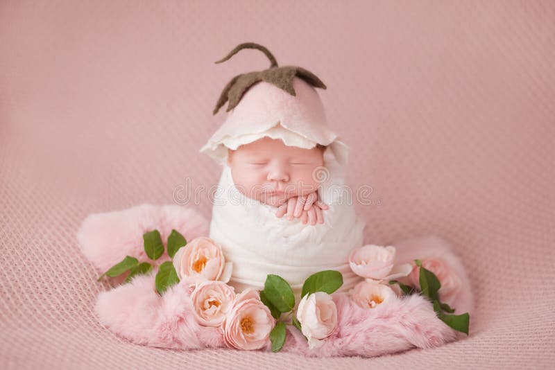 En nyfödd flicka i en vit kokok på en rosa bakgrund med rosa rosor och en hatt som en blomma arkivbilder En nyfödd flicka i en vit kokok på en rosa bakgrund med rosa rosor och en hatt som en blomma arkivbilder
