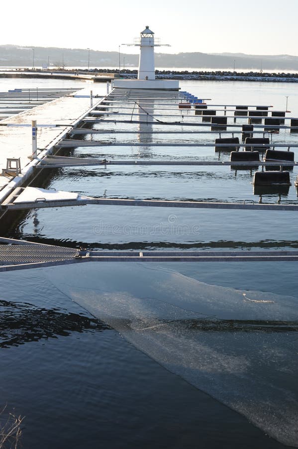 En pir på en hamn på vattersjön i granna i svden en solnyare vinterdag med vit blåsken klar luft och vatten