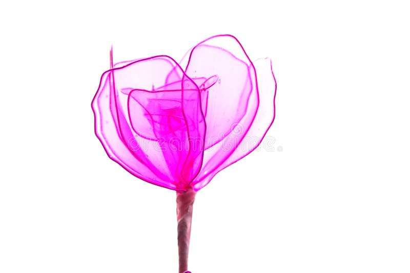 En plast- blomma isolerad vit bakgrund royaltyfria foton En plast- blomma isolerad vit bakgrund royaltyfria foton
