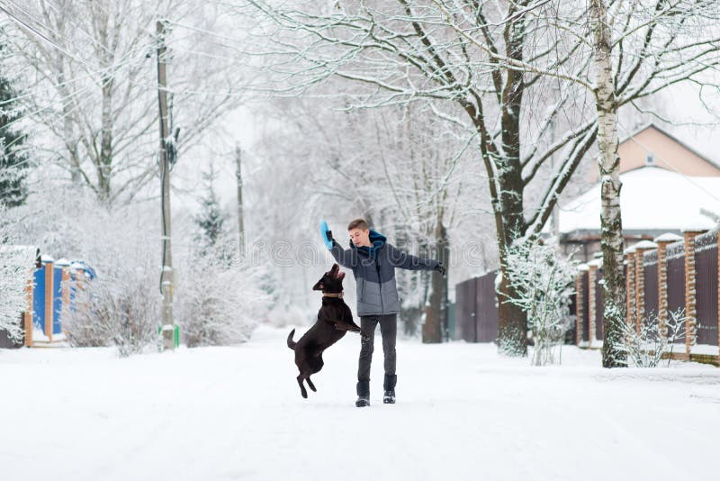 En pojke går med sin bruna labrador i byn på en snödag royaltyfria foton