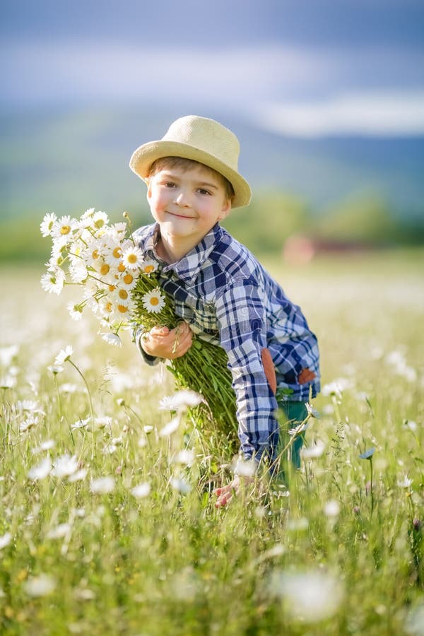 En pojke i en hatt i en skugga med grönt gräs samlar vilda blommor