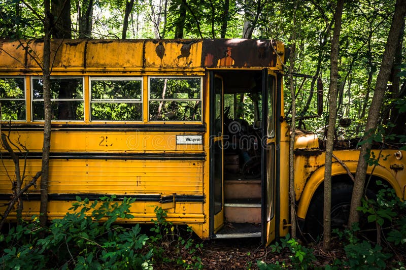 En rostig gammal skolbuss i en skrot