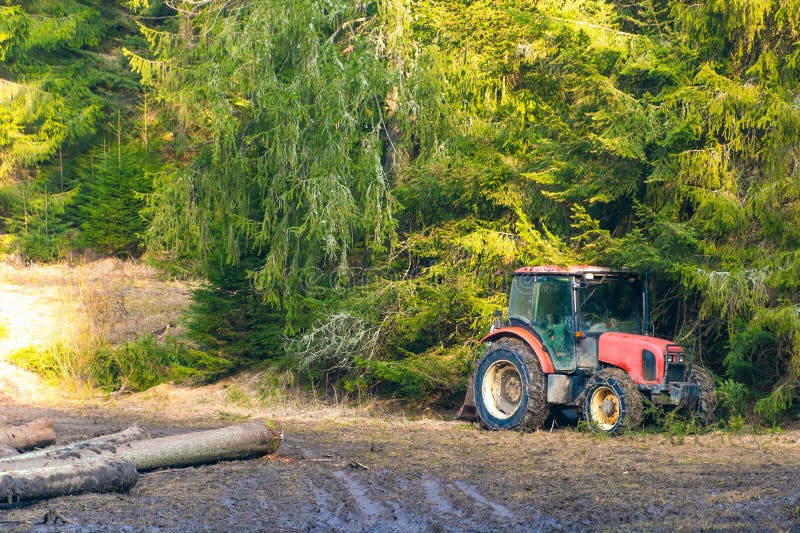 En röd traktor står vid skogsgränsen omgiven av lerstockar och täta gröna barrträd royaltyfria bilder