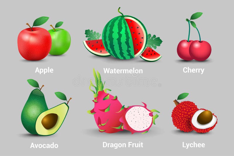 En samling av saftiga nya frukter för realistisk vektor Äpplen, vattenmelon, körsbär, avokadon, frukt, drakar och litchiplommoner stock illustrationer En samling av saftiga nya frukter för realistisk vektor Äpplen, vattenmelon, körsbär, avokadon, frukt, drakar och litchiplommoner stock illustrationer