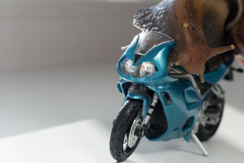 En snigel rider en tävlings- motorcykel, begrepp av hastighet och framgång, selektiv fokus