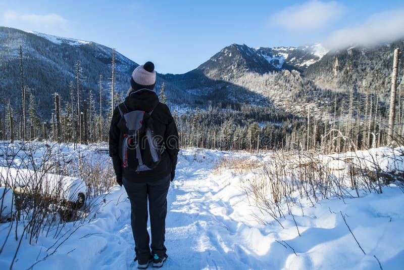 En snöbana genom Kocieliskadalen med en ensam hiker som går förbi Polen. arkivbilder
