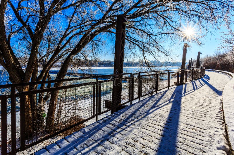 En snöbana med staket och ett träd i bakgrunden royaltyfri fotografi
