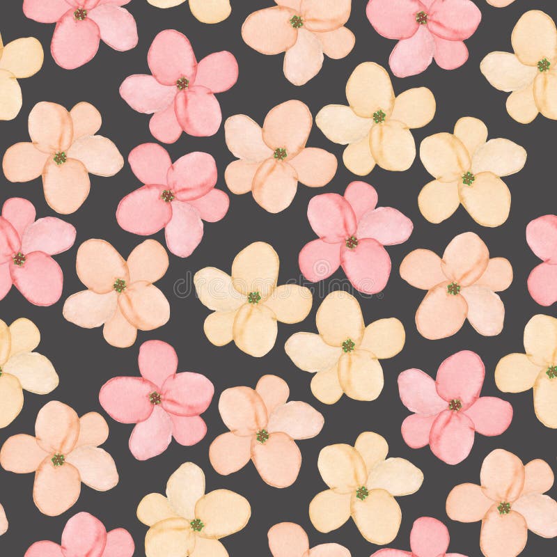 En sömlös blom- modell med vattenfärgen hand-drog mjuka rosa färger fjädrar blommor royaltyfria foton En sömlös blom- modell med vattenfärgen hand-drog mjuka rosa färger fjädrar blommor royaltyfria foton