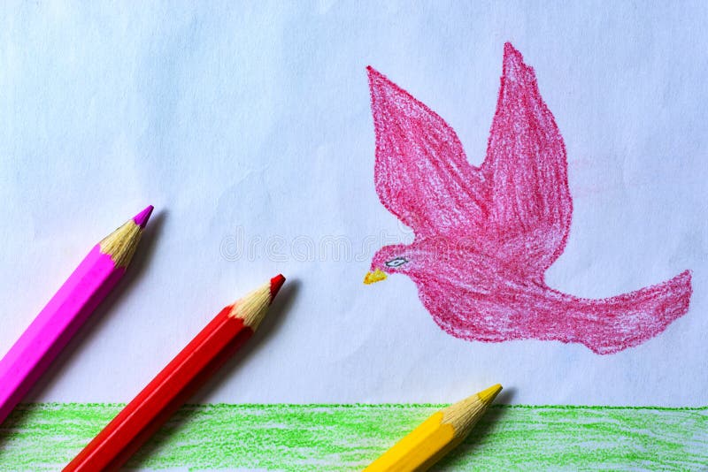 En teckning för barn` s av en rosa färgduva, gräs och himmel med kulöra blyertspennor arkivfoton En teckning för barn` s av en rosa färgduva, gräs och himmel med kulöra blyertspennor arkivfoton