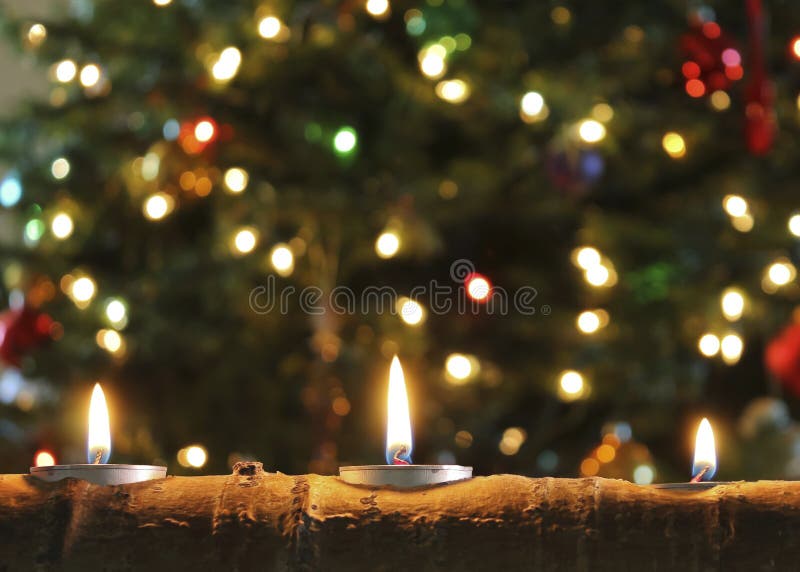 A Trio of Burning Christmas Candles in an Aspen Log with a Christmas Tree in the Background. A Trio of Burning Christmas Candles in an Aspen Log with a Christmas Tree in the Background