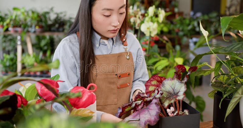 En ung kvinna på plattan tar hand om växter i en blomstrande stadsdjungel. verkstadskoncept . trädgårdsskötsel inomhus