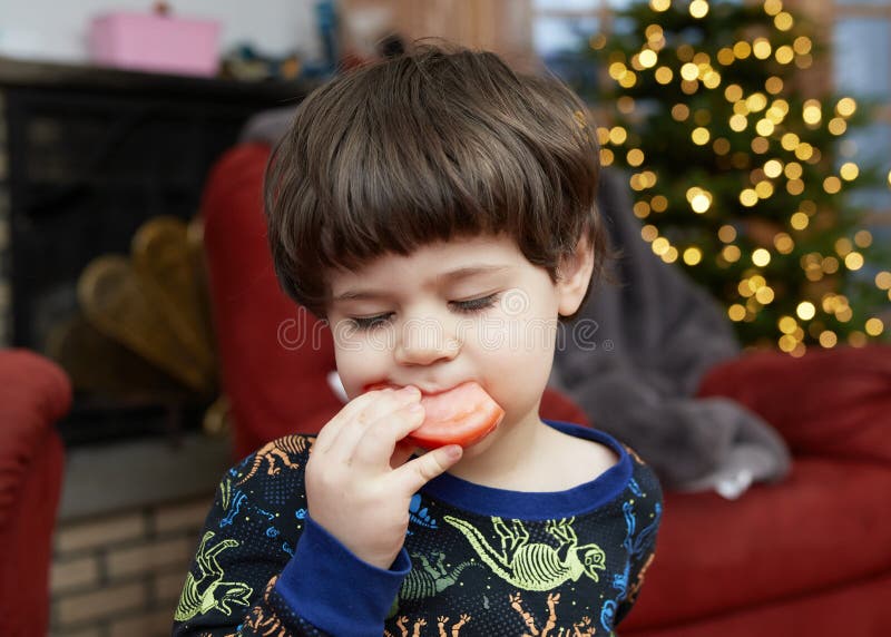 En ung pojke som ger uttryck för sitt intresse äter en tomat framför ett julgransträd hemma royaltyfria bilder