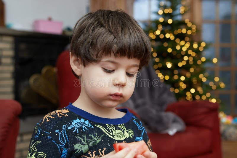 En ung pojke som ger uttryck för sitt intresse äter en tomat framför ett julgransträd hemma fotografering för bildbyråer