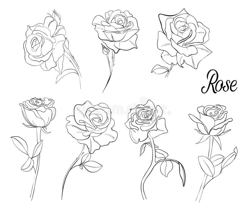 En uppsättning av skissar av rosor En variation av blommor och sidor av rosen Hand-dragen vektorillustration i tappningstil vektor illustrationer En uppsättning av skissar av rosor En variation av blommor och sidor av rosen Hand-dragen vektorillustration i tappningstil vektor illustrationer