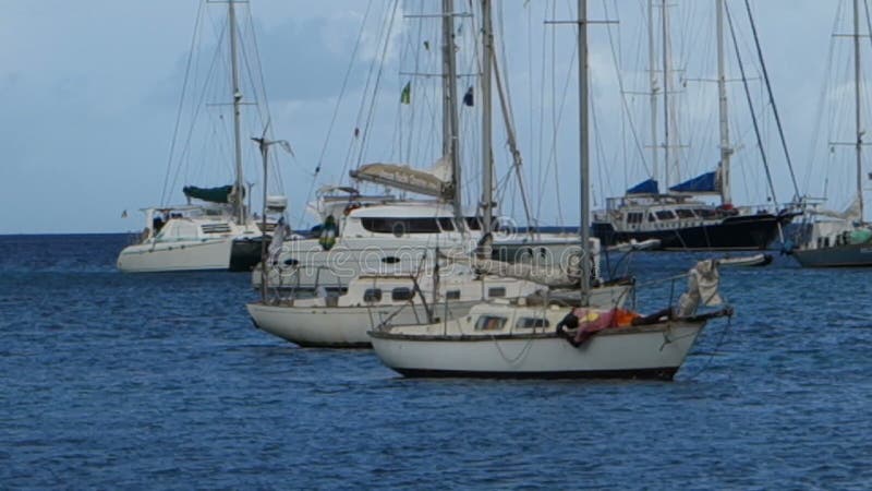 En upptagen hamn i de lovart- öarna