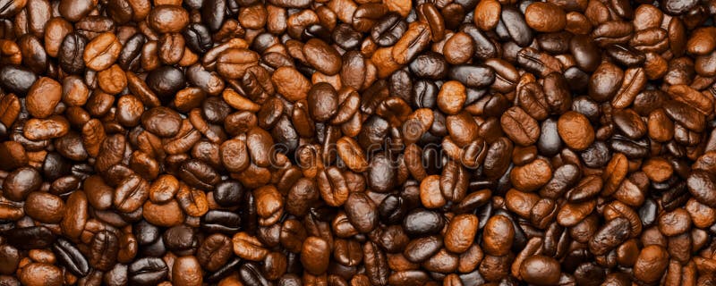En vibrerande skärm med nyrostade kaffebönor som kryper i ljuset och ser utsökt ut att visa rika mörkbruna nyanser. vektor illustrationer