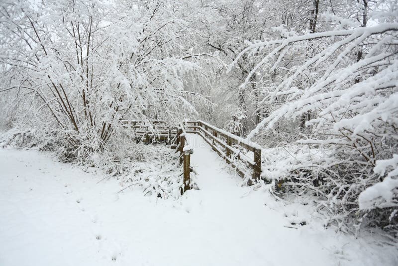 En vinterplats av en bro och en omgeende vandringsled och träd som täckas i insnöat bollträ, Hertford hed, UK arkivfoto En vinterplats av en bro och en omgeende vandringsled och träd som täckas i insnöat bollträ, Hertford hed, UK arkivfoto