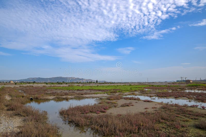 A road piled up on saline alkali land, a salt pond. A road piled up on saline alkali land, a salt pond.