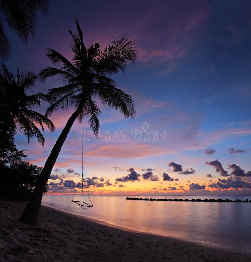 Encalhe com as palmeiras no por do sol, console de Maldives fotos de stock royalty free Encalhe com as palmeiras no por do sol, console de Maldives fotos de stock royalty free