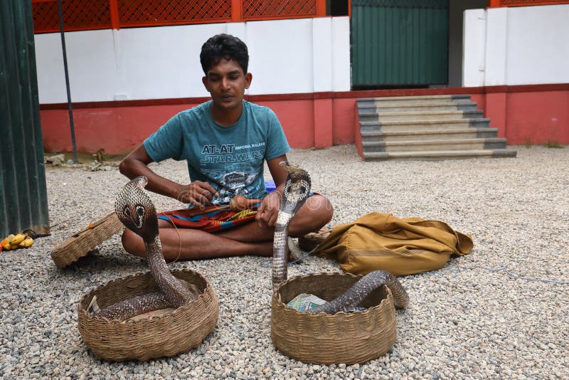 Encantador de serpente em Sri Lanka foto de stock Encantador de serpente em Sri Lanka foto de stock