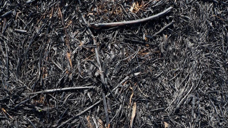 Nascente De água De Incêndio. Metano Em Combustão Na água. Fogo Frio Imagem  de Stock - Imagem de feiticeiro, subterrâneo: 214718589