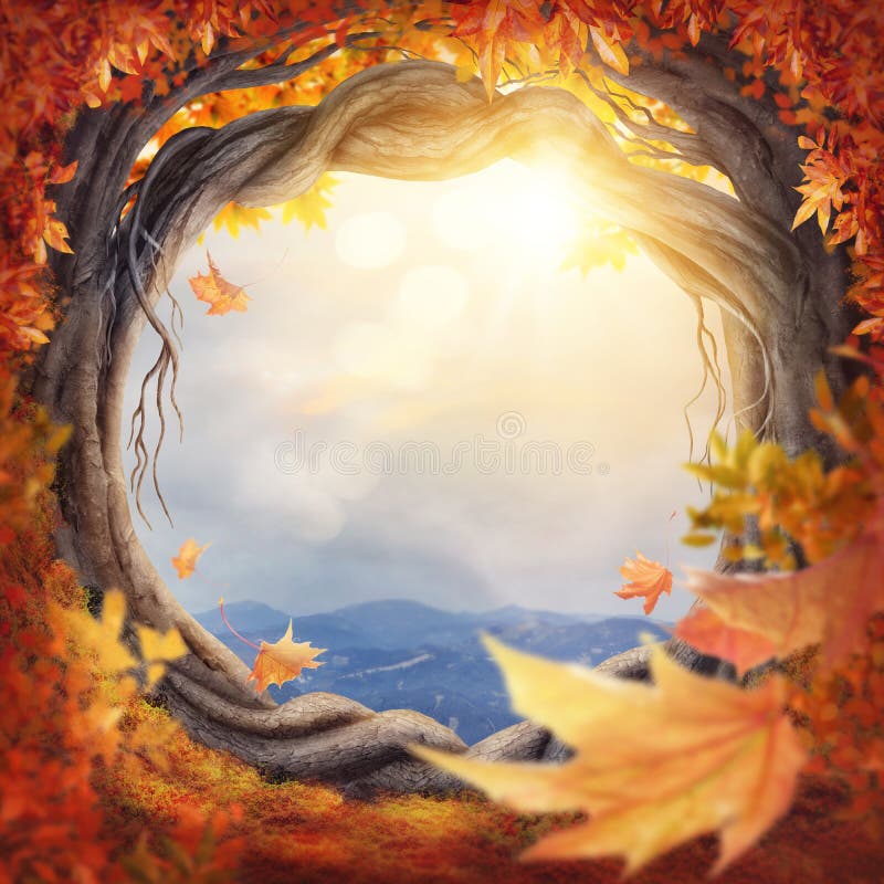 Enchanted autumn forest stock image Enchanted autumn forest stock image