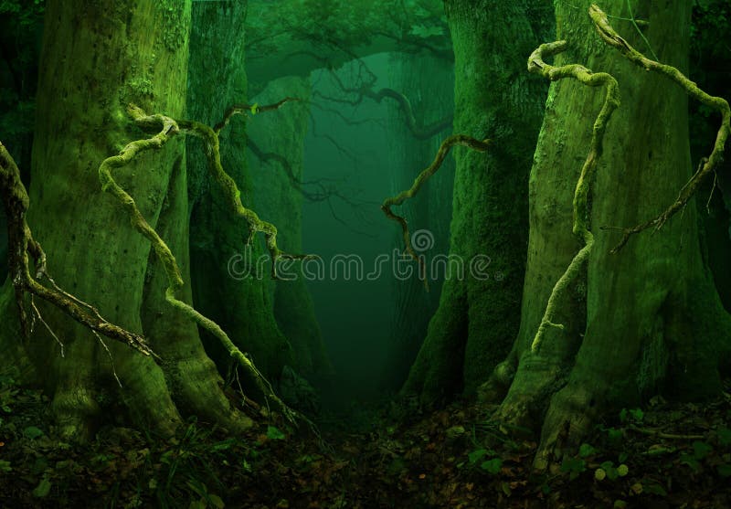 Enchanted fairytale forest Dark fantasy woods with Mysterious trees and Crooked branches