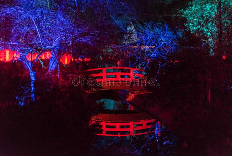 Enchanted forest - beautiful Japanese garden at night royalty free stock image Enchanted forest - beautiful Japanese garden at night royalty free stock image