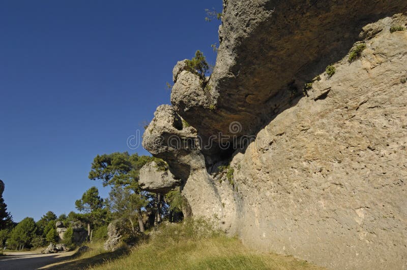 Enchanted Forest Bosque Encantado Mar De Piedra Cuenca; La M Stock