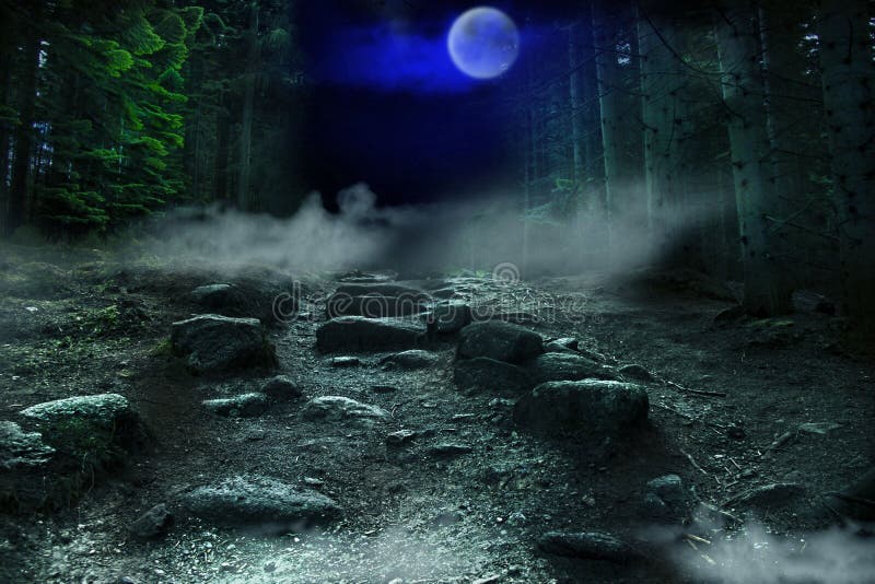 Enchanted Forest in the Night. Halloween Background. Stock Image - Image of  pathway, horror: 172148375