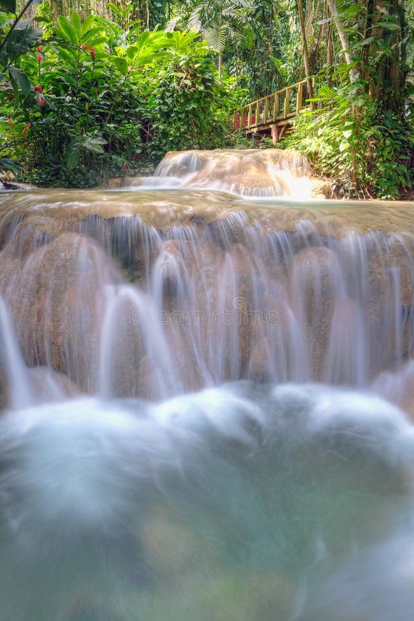 Enchanted Gardens In Jamaica Stock Image Image Of Fall