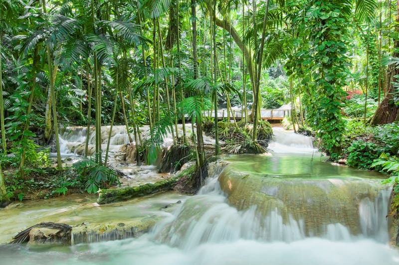 Enchanted gardens in Jamaica