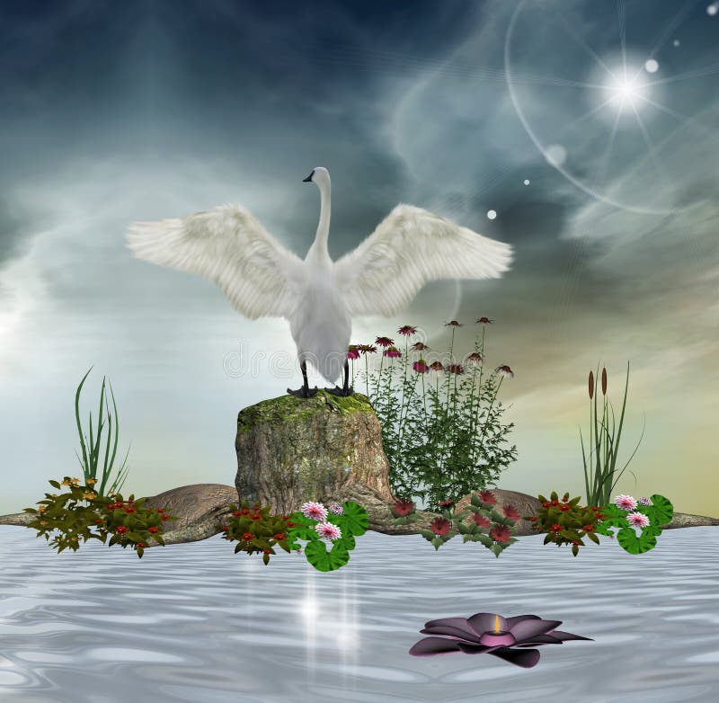 Enchanted swan