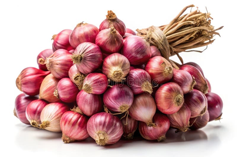 Enchanting Shallot Bundle Surreal CloseUp of Fresh Textured Harvest royalty ilustracja
