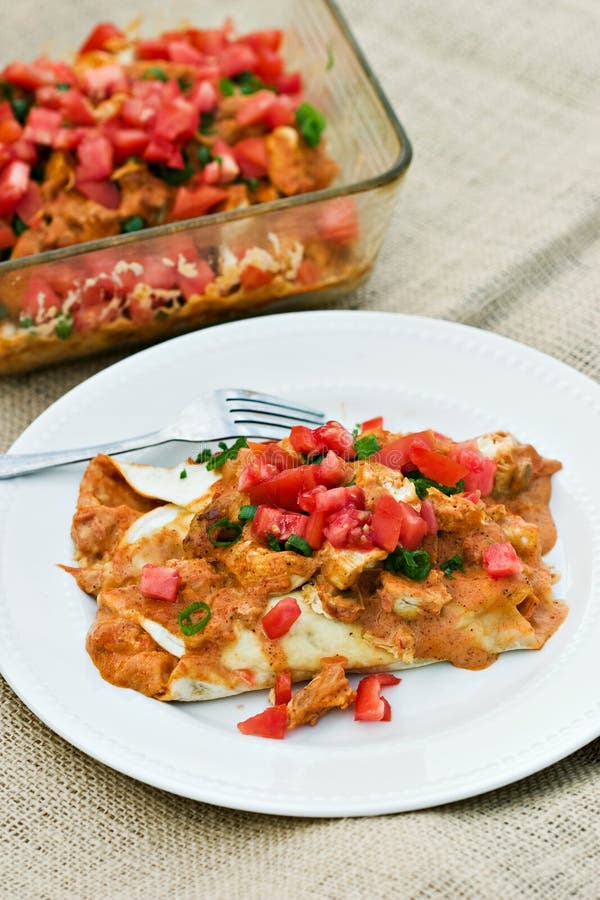 Enchiladas del pollo foto de archivo. Imagen de enchilada 11007582