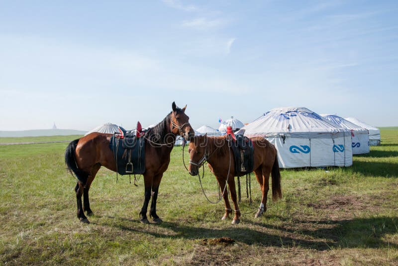 Jogo Do Cavalo No Lago Kul Da Música Em Quirguizistão Foto Editorial -  Imagem de campo, hélice: 59175586