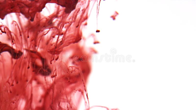 Encre tourbillonnant dans l'eau, baisse de couleur dans l'eau photographiée dans le mouvement photographie stock Encre tourbillonnant dans l'eau, baisse de couleur dans l'eau photographiée dans le mouvement photographie stock