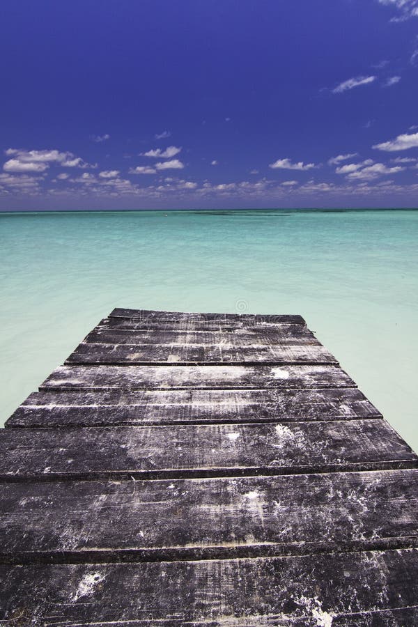 End of the Dock in Paradise