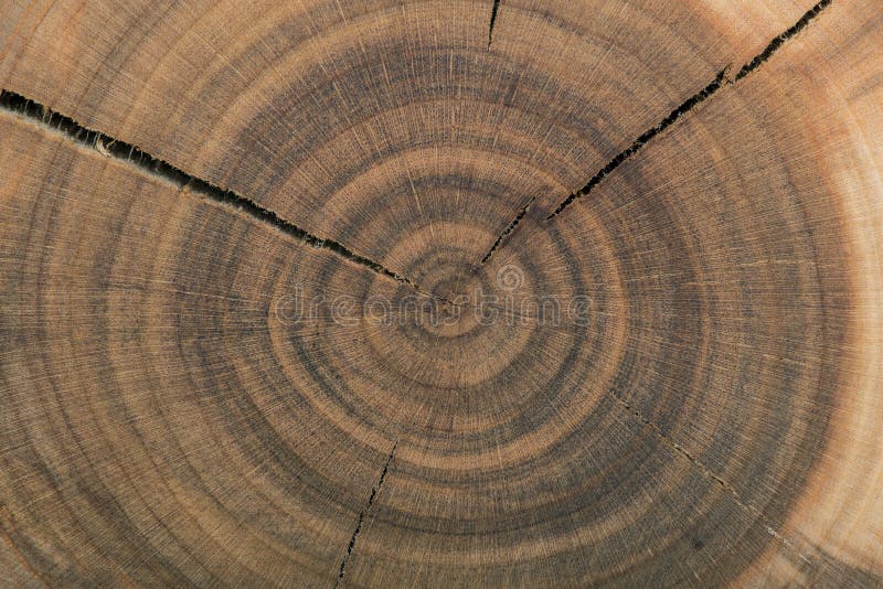 what is end grain wood?
