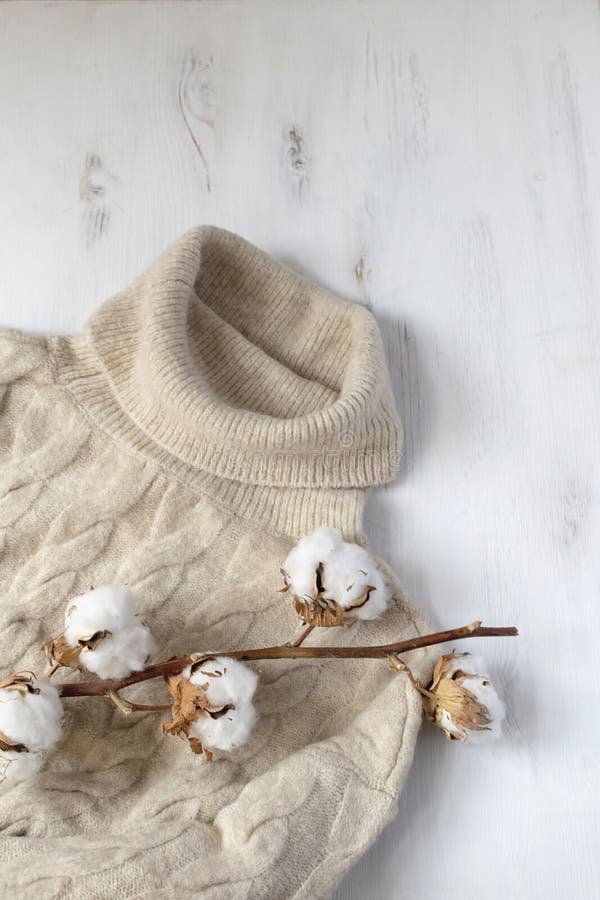 Endecha plana del invierno escandinavo mínimo - suéter hecho punto y rama secada del algodón, fondo blanco, espacio de la copia, hygge