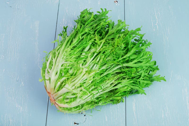 Endive De Bebe Photo Stock Image Du Antioxydant Verts