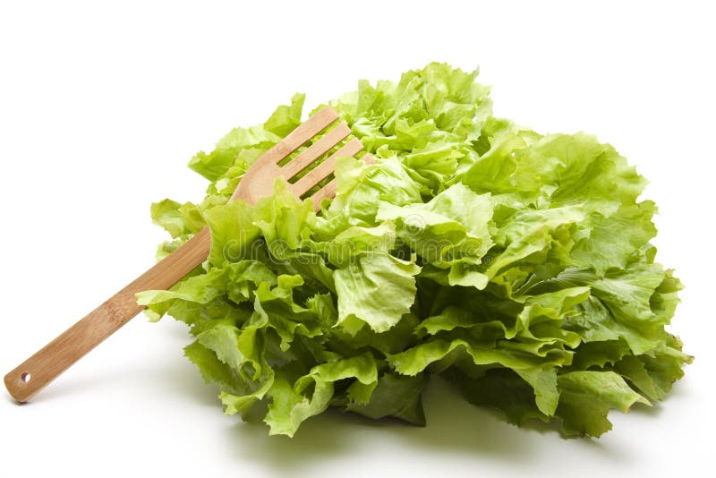 Endives salad with fork