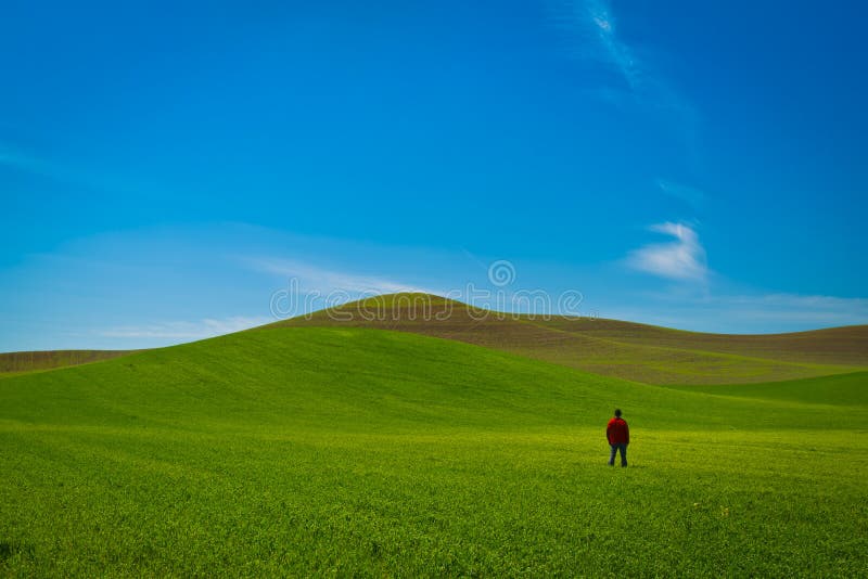 The hills of Palouse Washington. The hills of Palouse Washington