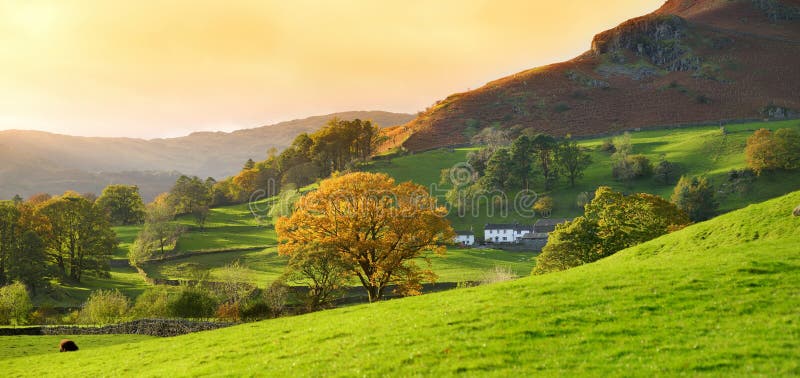 Endless Lush Pastures and Farmlands of England. Beautiful English  Countryside with Emerald Green Fields and Meadows Stock Image - Image of  europe, english: 217796099