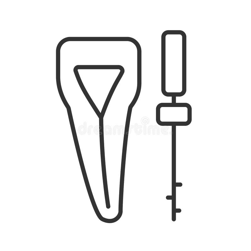 Endodontic Root Stock Illustrations – 283 Endodontic Root Stock ...